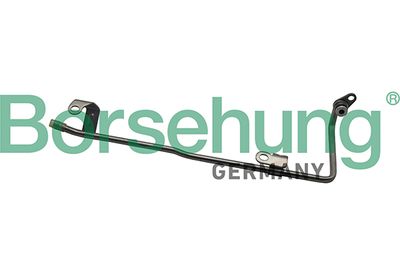 Coolant Pipe Borsehung B19268