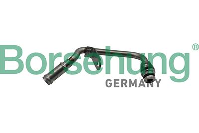 Coolant Pipe Borsehung B19269