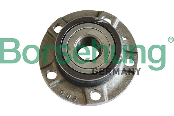 Borsehung B19284 Wheel Bearing Kit