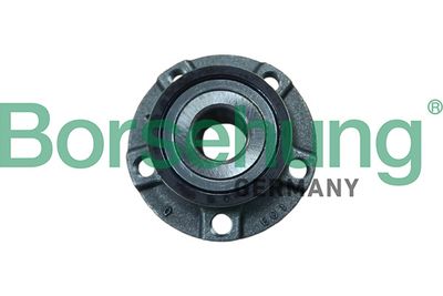 Wheel Bearing Kit Borsehung B19285