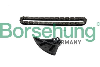 Chain Kit, oil pump drive Borsehung B19287