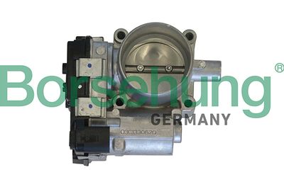 Throttle Body Borsehung B19288