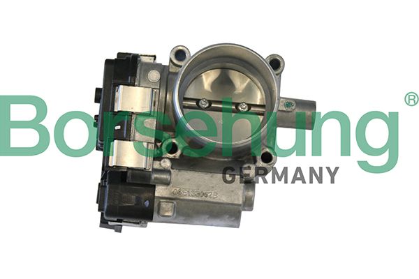 Borsehung B19289 Throttle Body