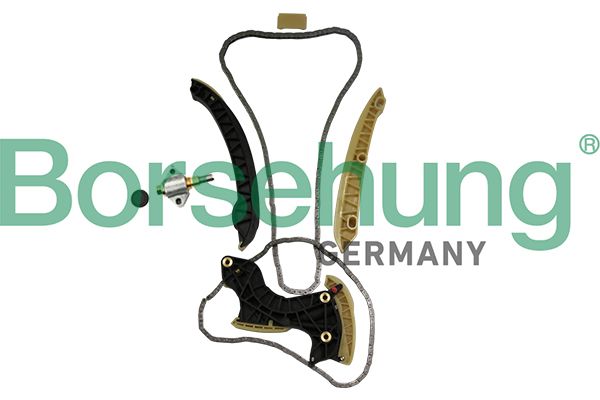 Borsehung B19296 Timing Chain Kit