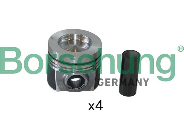 Borsehung B19301 Piston