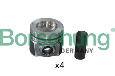 Piston Borsehung B19301