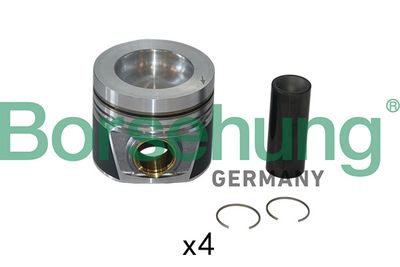 Piston Borsehung B19302