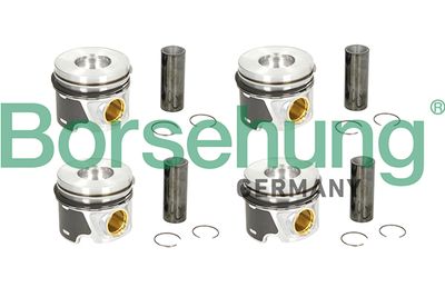 Piston Borsehung B19303