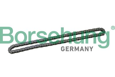 Timing Chain Borsehung B1C021
