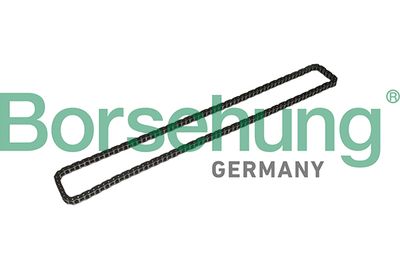 Timing Chain Borsehung B1C023