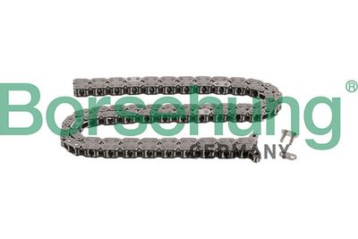 Timing Chain Borsehung B1C026