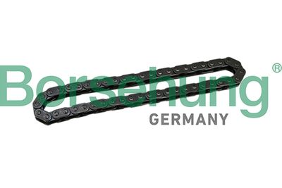 Timing Chain Borsehung B1C028