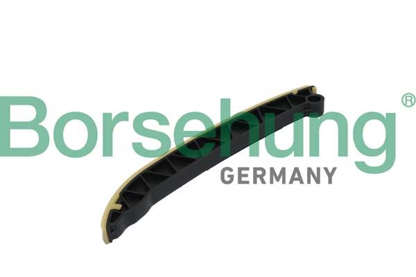 Borsehung B1G006 Guide, timing chain