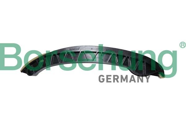 Borsehung B1G041 Guide, timing chain