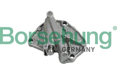 Tensioner, timing chain Borsehung B1T001