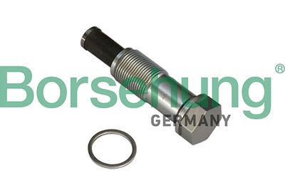 Tensioner, timing chain Borsehung B1T020