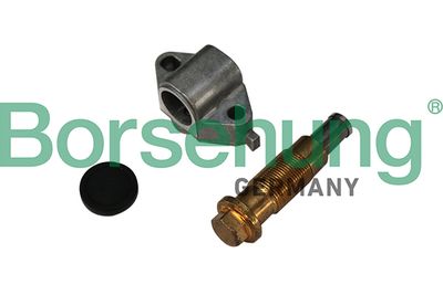 Tensioner, timing chain Borsehung B1T024