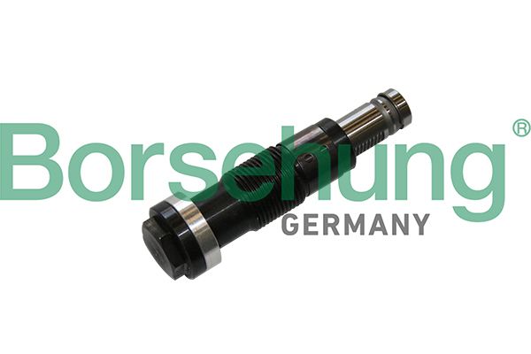 Borsehung B1T028 Tensioner, timing chain