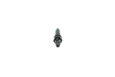 Nozzle and Holder Assembly BOSCH 0 432 131 841