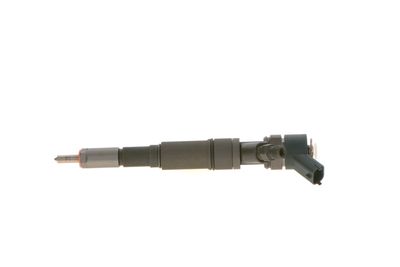 Injector Nozzle BOSCH 0 445 110 029