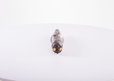 Injector Nozzle BOSCH 0 445 120 252