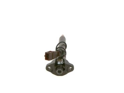 Nozzle and Holder Assembly BOSCH 0 432 191 527