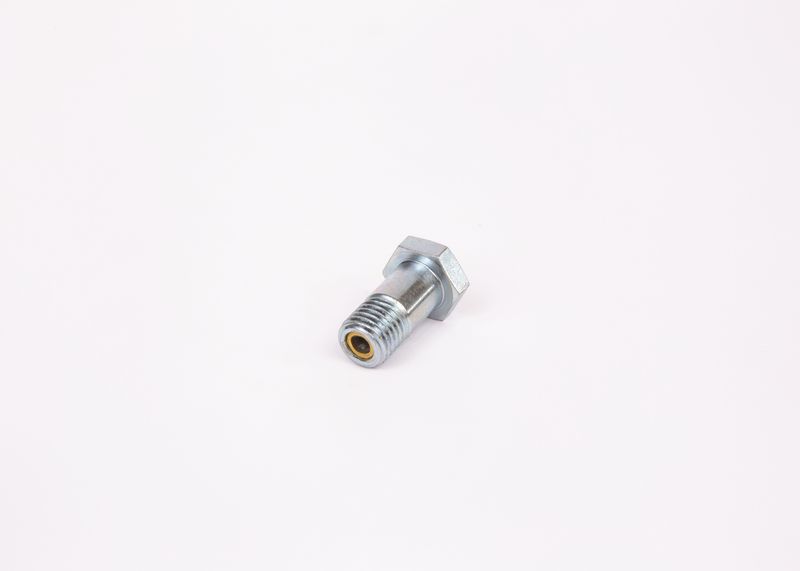 BOSCH 1 463 456 344 Screw