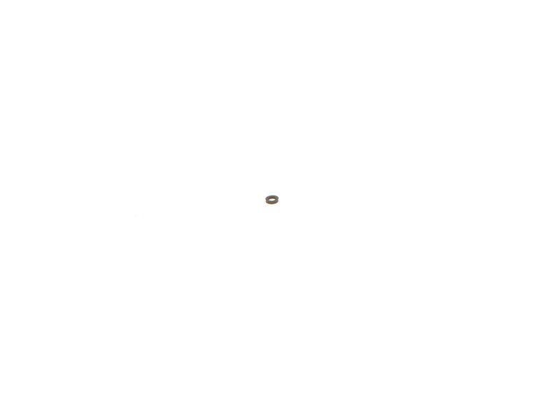 BOSCH 1 928 300 198 Seal