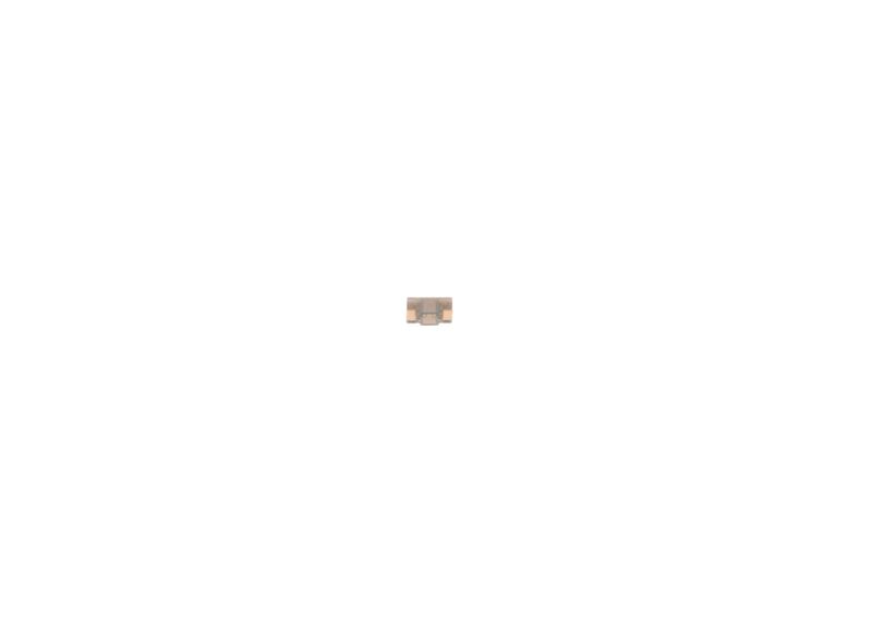 BOSCH 1 987 529 041 Fuse