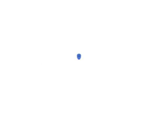 BOSCH 1 928 300 599 Seal
