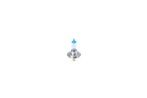 BOSCH 1 987 301 441 Bulb, spotlight