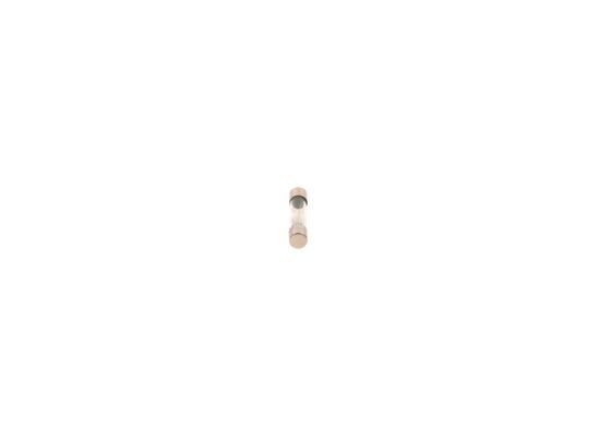 BOSCH 1 987 529 901 Fuse