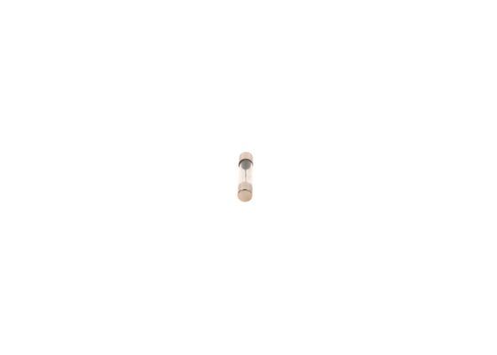 BOSCH 1 987 529 902 Fuse