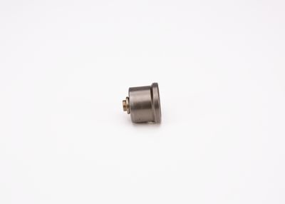 Valve BOSCH 2 418 554 001