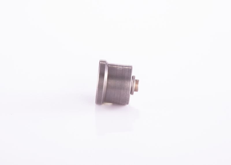 BOSCH 2 418 554 043 Valve
