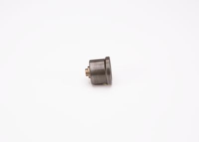 Valve BOSCH 2 418 554 057
