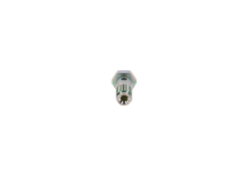 BOSCH 2 443 456 900 Screw