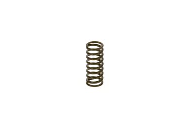 Spring BOSCH 2 444 618 002