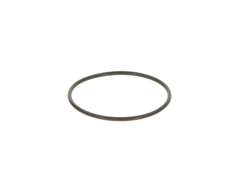 BOSCH 2 469 403 065 Rubber Ring
