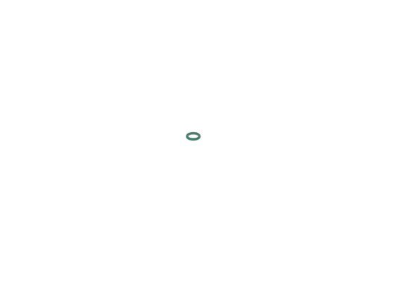 BOSCH 2 440 210 002 Rubber Ring