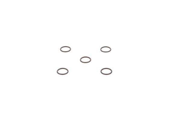 BOSCH 2 440 210 020 Rubber Ring