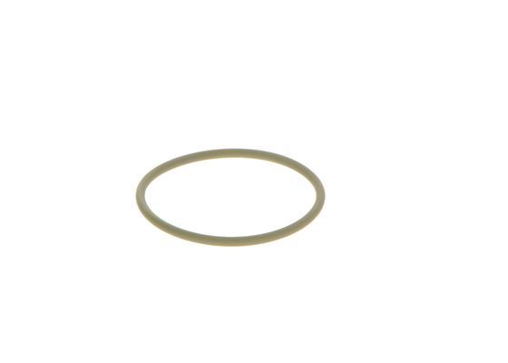 BOSCH 2 440 210 052 Seal Ring