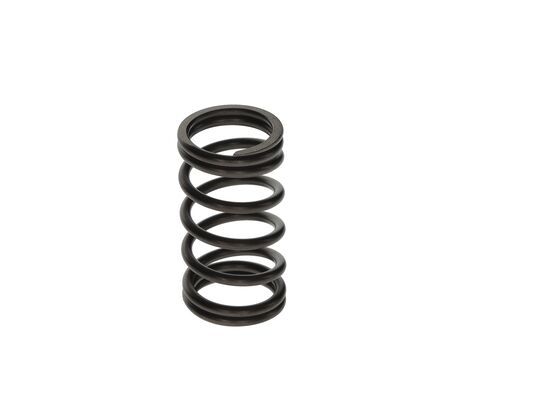 BOSCH F 00N 200 141 Spring