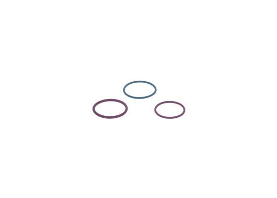 BOSCH F 00V X99 998 Repair Kit, unit injector