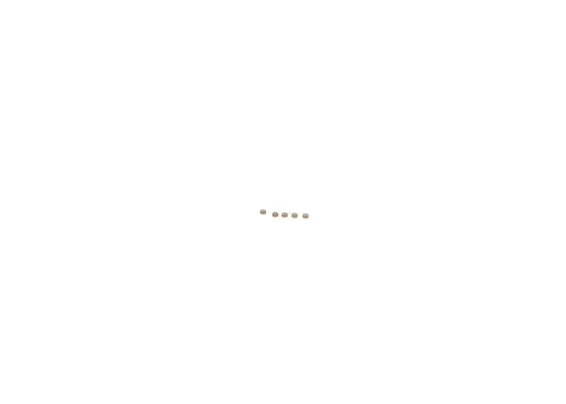 BOSCH F 00Z C99 724 Repair Kit, common rail system