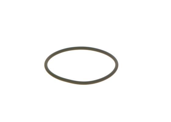 BOSCH F 00N 201 306 Seal Ring