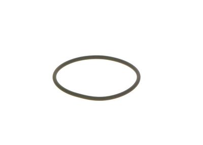 Seal Ring BOSCH F 00N 201 306