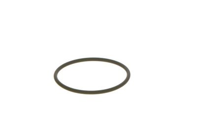 Rubber Ring BOSCH F 00N 202 130