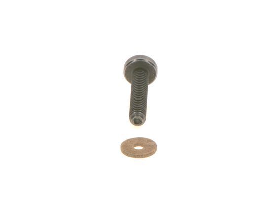 BOSCH F 00N 202 193 Screw