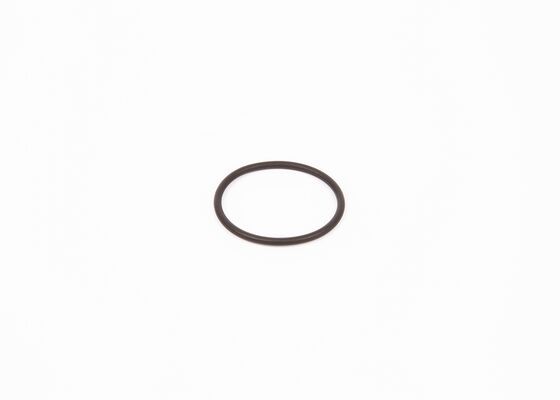 BOSCH F 00R 0P0 166 Rubber Ring